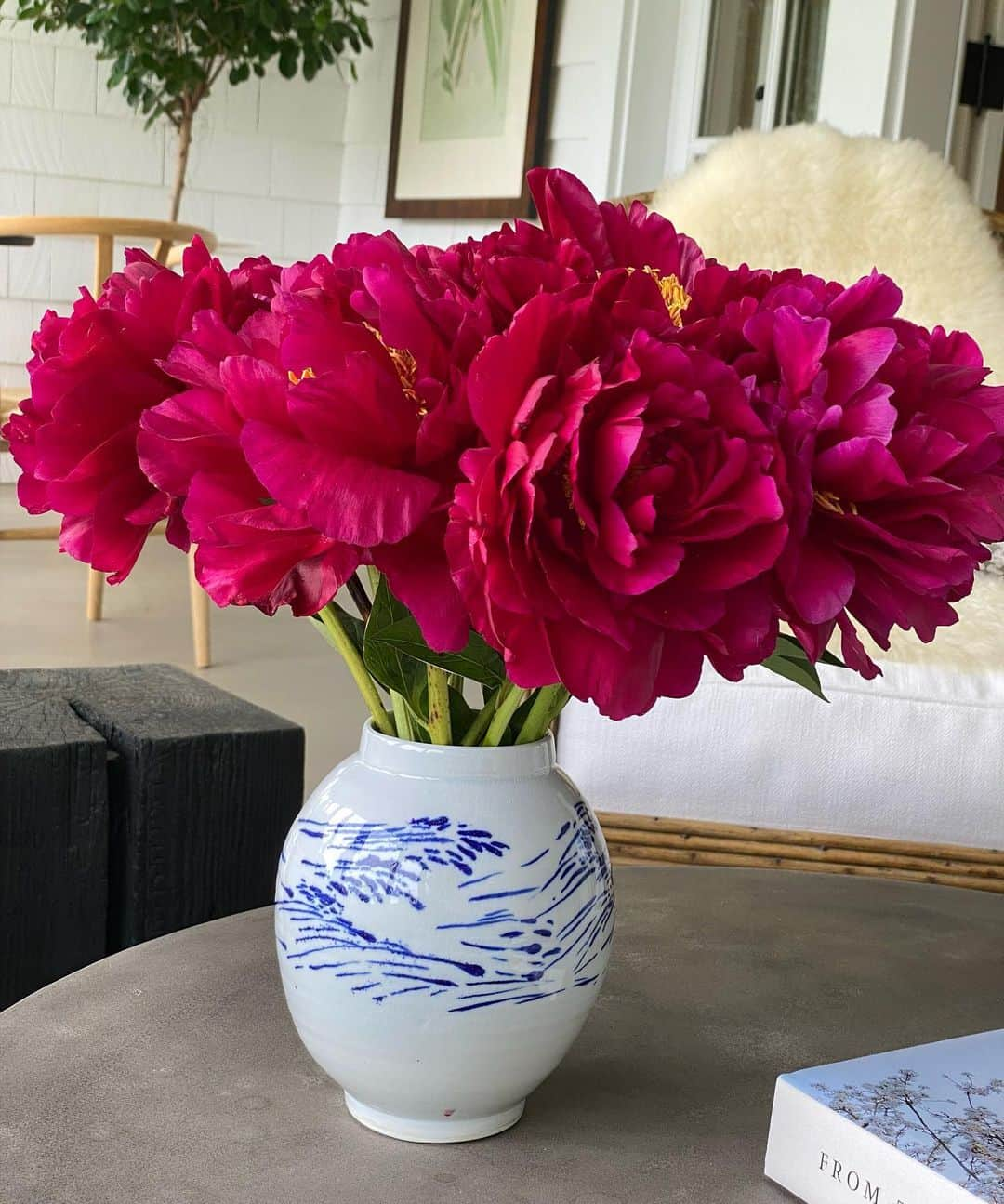 アイナ・ガーテンさんのインスタグラム写真 - (アイナ・ガーテンInstagram)「And sometimes you just have to play hooky and read a good book on the porch in the afternoon.  #sunmer #peonies @sagharborflorist」6月13日 2時44分 - inagarten