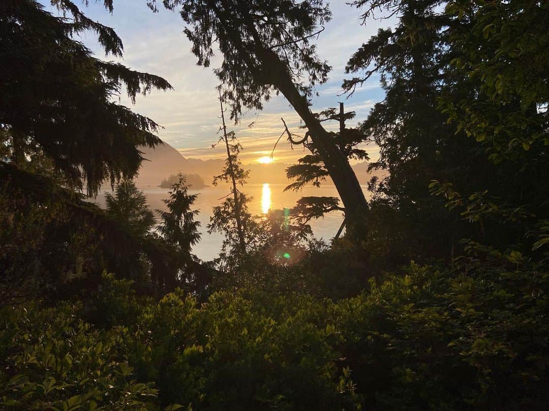 サイモン・ネスマンのインスタグラム：「I don’t believe the sunrise will ever grow old.」