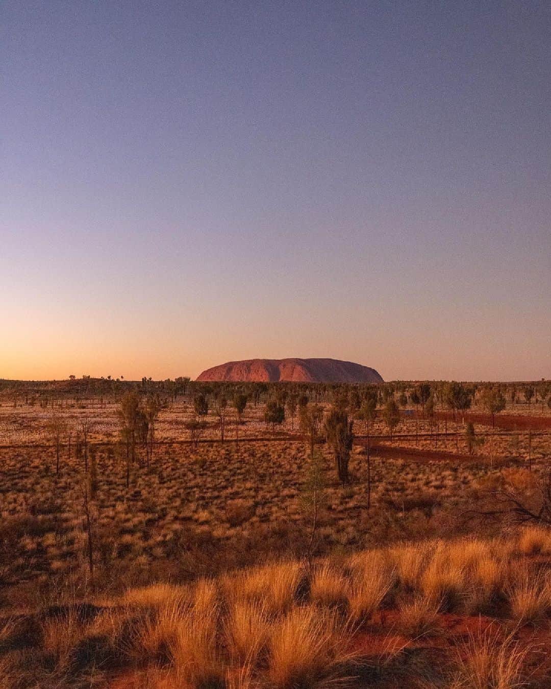 Australiaのインスタグラム：「Sharing a little @seeuluru magic with you today ✨❤️ We're absolutely mesmerised by this stunning snap of #Uluru, captured by @rayofmelbourne on a recent visit to @ntaustralia's #UluṟuKataTjuṯaNationalPark. Home to the Anangu people, we recommend joining a tour with a local Indigenous guide (like @seitoutbackaustralia or @exploreuluru's Desert Awakenings tour) to learn about Tjukurpa (the traditional stories and spirituality) and the Anangu ancestors and culture. #seeaustralia #comeandsaygday #ntaustralia #seeulruru #redcentrent #visitcentralaus @visitcentralaus」