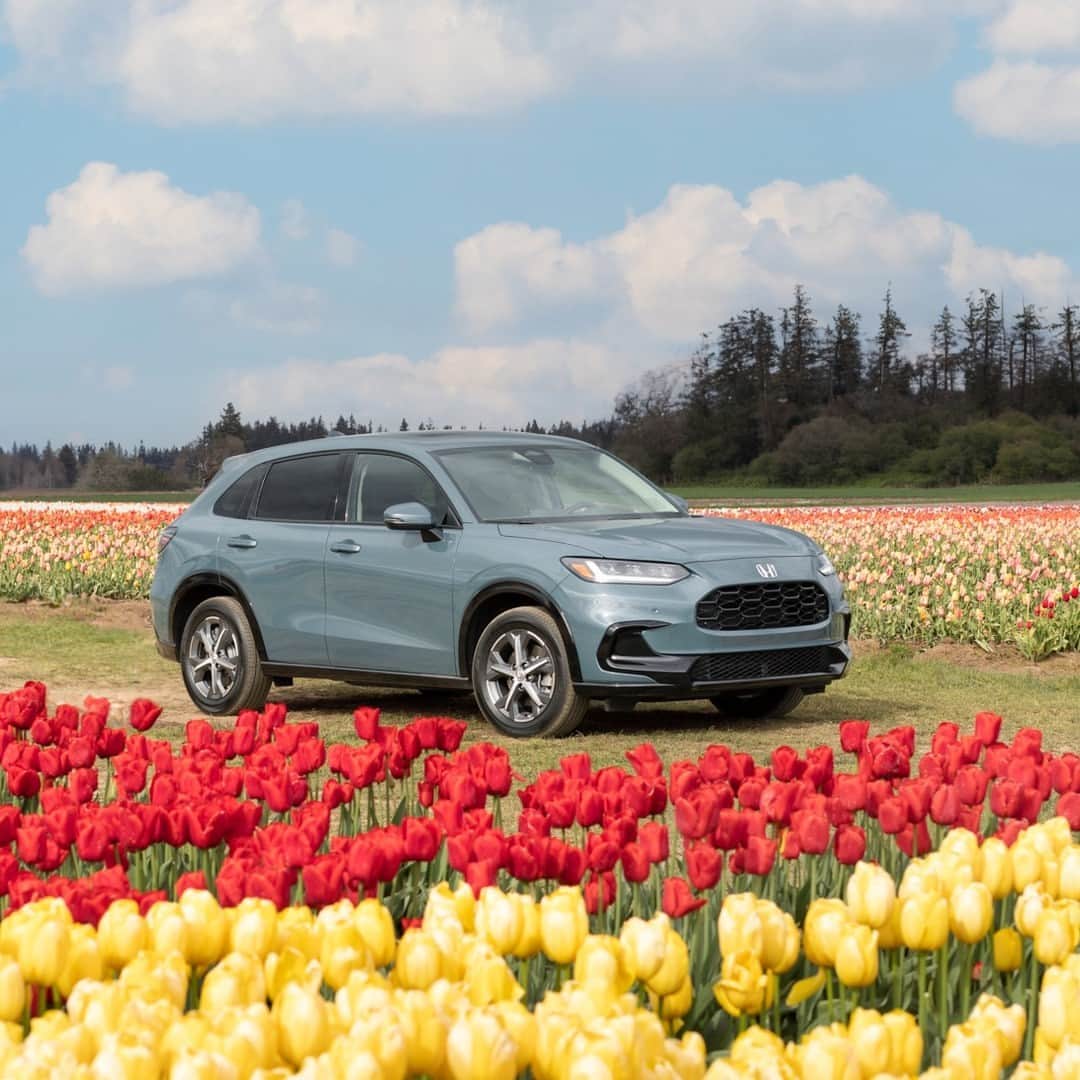 のインスタグラム：「Dreamiest drive to go wander the tulip fields 🌷 #HondaHRV 📸: @tommylundberg」