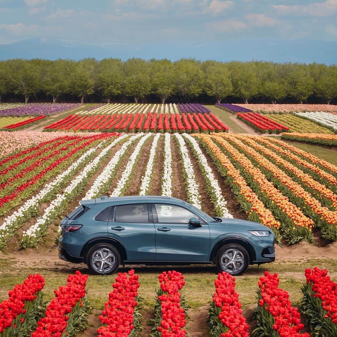 ホンダさんのインスタグラム写真 - (ホンダInstagram)「Dreamiest drive to go wander the tulip fields 🌷 #HondaHRV 📸: @tommylundberg」6月28日 1時00分 - honda