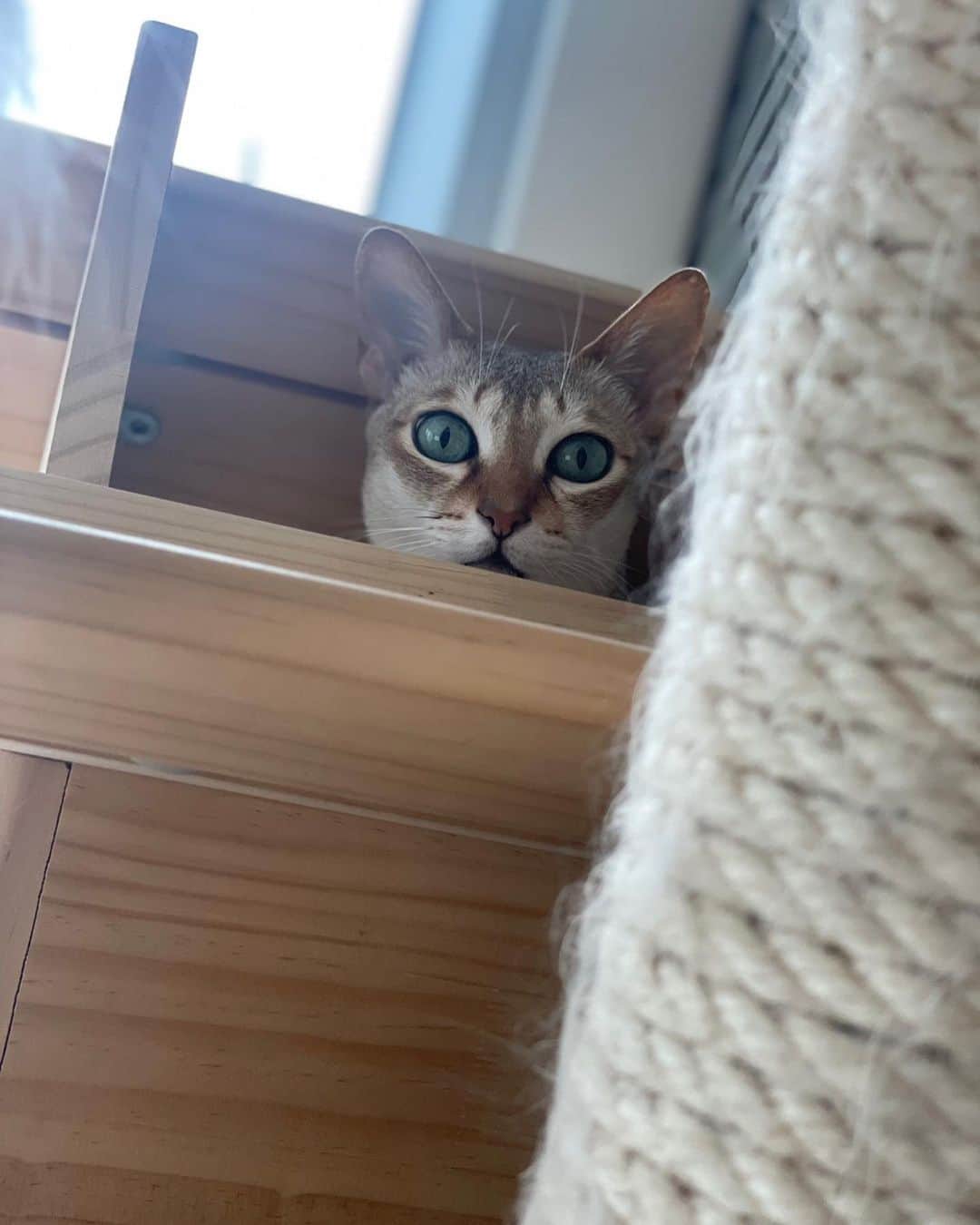 ソ・ガンジュンのインスタグラム：「읭??👀」