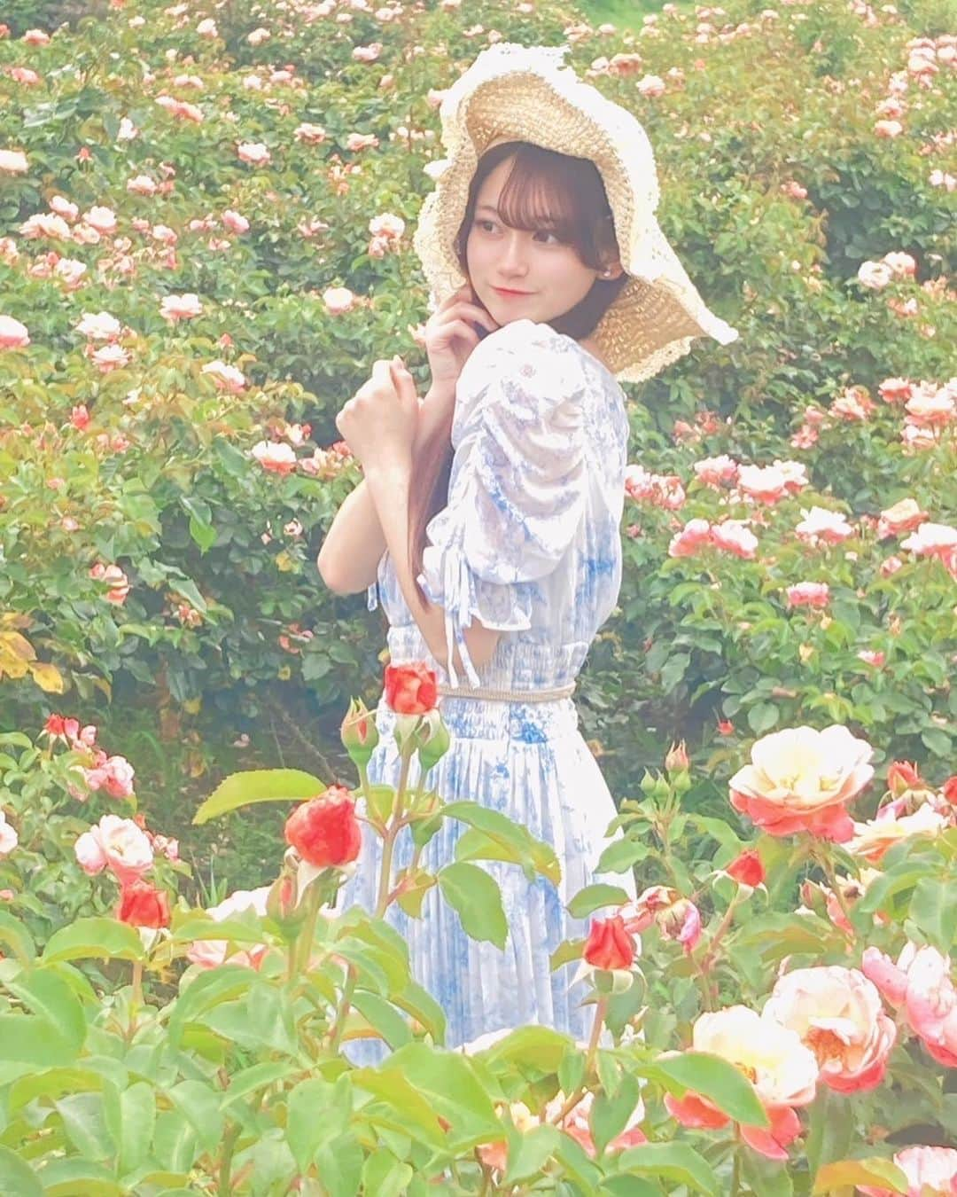 冨永真姫さんのインスタグラム写真 - (冨永真姫Instagram)「東京ドイツ村に行ってきたの🧸🌸 お花綺麗すぎたし、 空気が綺麗な感じがして、気分最高だったよ🌹  showroomからお引越しして、 今日からミクチャ始めました✨  ミクチャ限定 雑誌LARMEのレギュラーモデルオーディションに参加しています🧸🌸 配信ポイントと動画ポイントの合計ポイントで順位が決まるので、 配信が出来ない日は、動画を載せるので、動画ポイントやコメントを入れてくださるととても嬉しいです🫶 最後まで頑張るので応援してね💕  #シブサン #shibu3project #idol #東京ドイツ村 #薔薇 #ガーリー #麦わら帽子  #アウトドア #レーストリム #boho #summerstyle  #kawaii #ootd  #ミクチャ #イベント #larme  #レギュラーモデル  #応援よろしくお願いします  #jk #07」6月28日 0時09分 - t_maki1003