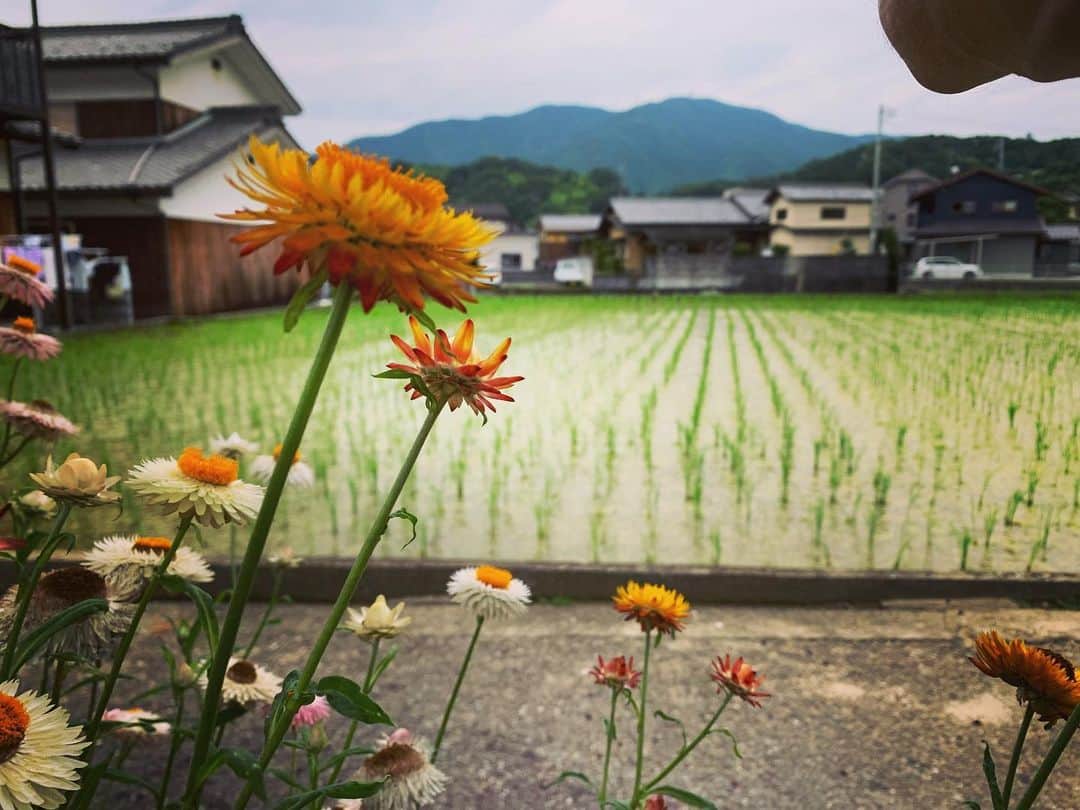 マシュー・チョジックのインスタグラム：「👟 #散歩中 #onawalk   #Japan #撮影の休憩 #breaktime #filming #ehime #愛媛」