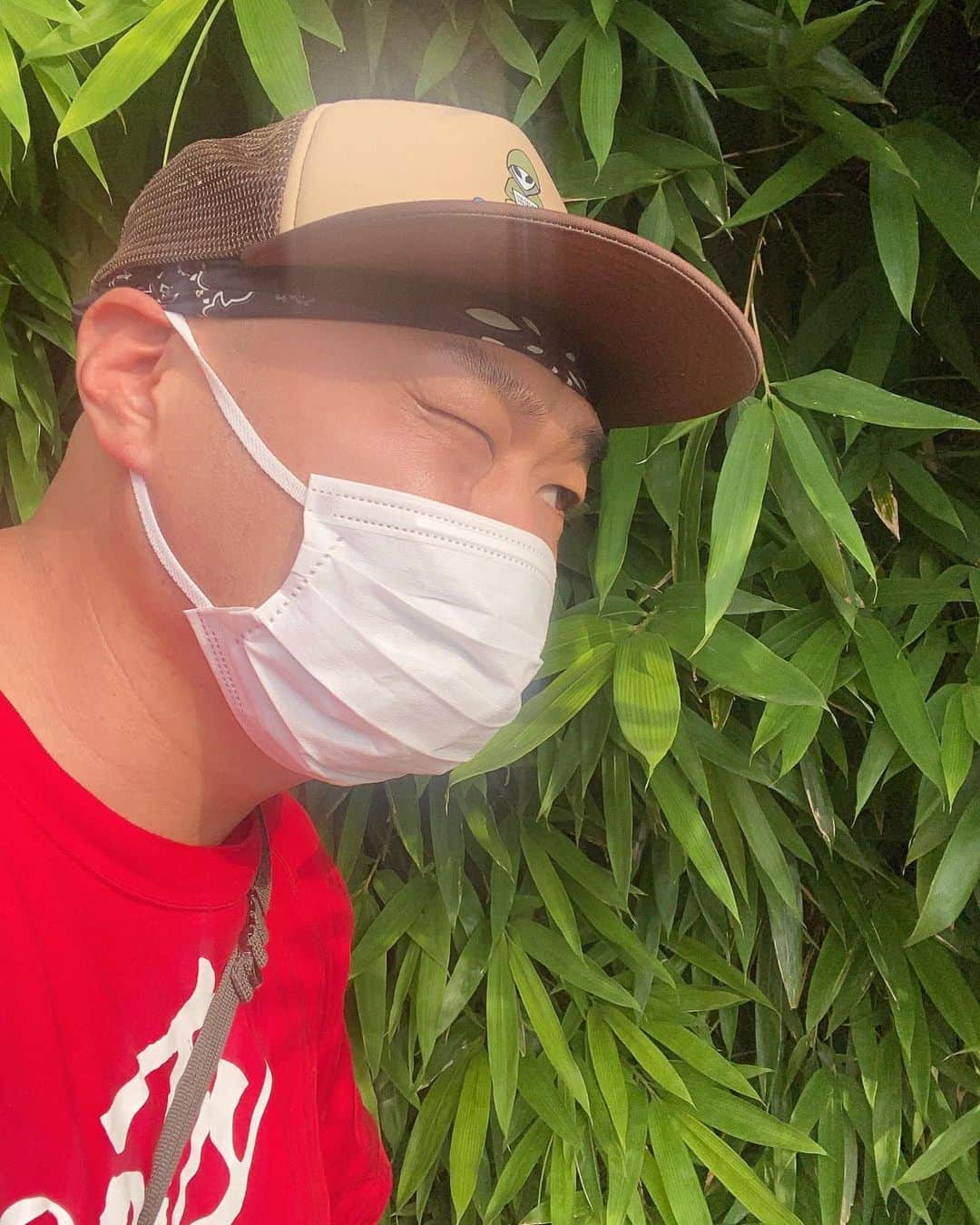 クロちゃんのインスタグラム：「ここはどこだしんかー！？」