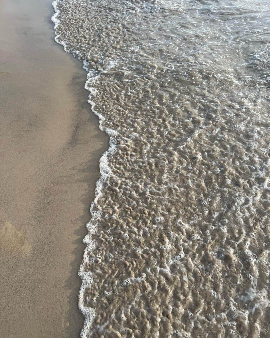 大屋夏南のインスタグラム：「How are you doing? Let’s catch up.  久しぶりにここでQ&A💫質問はありますか？🕺🏻」