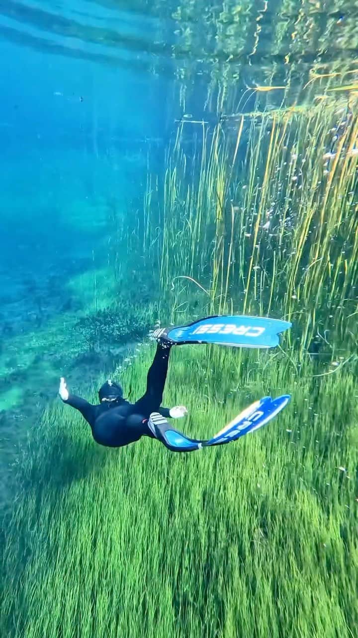 Australiaのインスタグラム：「Psst... hidden gem alert! 💎 Today we’re road-tripping through farmland on @southaustralia’s @limestonecoast, where you’ll find #EwensPonds - captured here perfectly by @salt.and.charcoal. Don’t forget to pack your snorkel - this underwater garden teeming with aquatic life and leafy green plants boasts up to 80-metres of visibility 🤯🤿   🎥: @salt.and.charcoal   📍: Ewens Ponds Conservation Park, @limestonecoast, @southaustralia   #seeaustralia #comeandsaygday #seesouthaustralia #visitlimestonecoast」