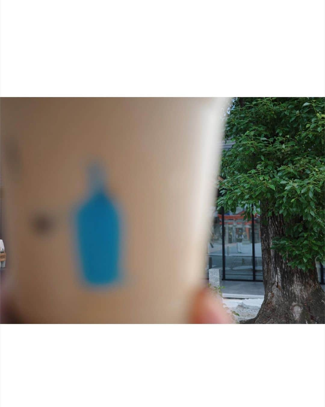 末次尚子さんのインスタグラム写真 - (末次尚子Instagram)「bluebottle☕️🩵 肝心なラテがぶれぶれ😂(わたしらしい)」6月27日 19時15分 - nao_0120