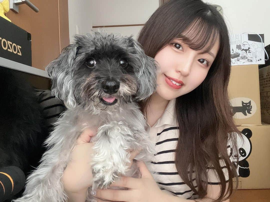 郷杏樹のインスタグラム：「. シュナ!!🐶実家のわんちゃんです。 テンション高すぎかまってちゃんで らぶさんに嫌われてますw  最近大きめカラコンにはまってたけど 今日は裸眼ナチュラルメイクです」