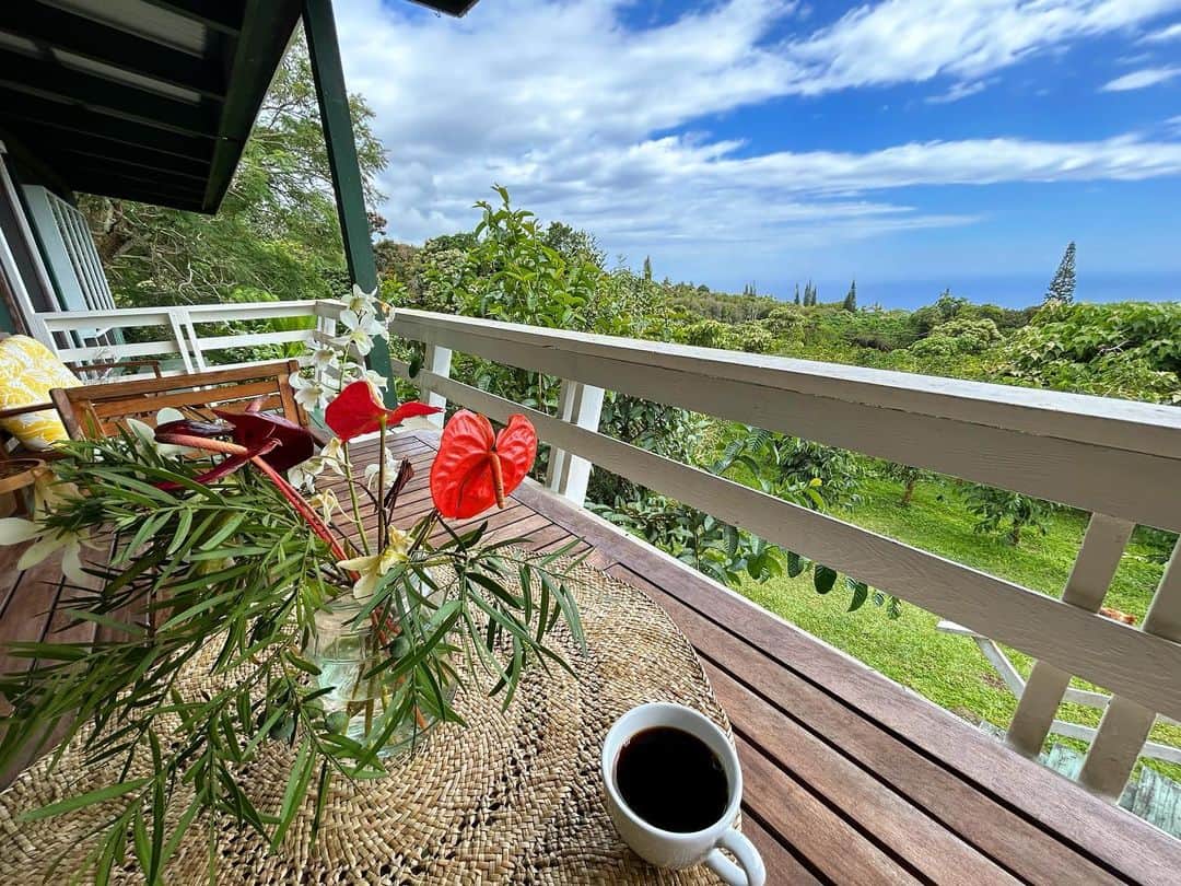 Instagenic Hawaiiさんのインスタグラム写真 - (Instagenic HawaiiInstagram)「. Aloha,  高品質のうえ生産量が少ないため希少性が高く、世界指折りのコーヒーとして愛されているコナコーヒー☕️  ハワイに初めてコーヒーがもたらされたのは、ハワイ王国時代の1825年。  ハワイのコーヒー産業を支えてきたのは、初期にはハワイアン労働者、次いで各国からの移民たちでした。  かつて砂糖きびやパイナップル産業がハワイで衰退したのに対し、コナコーヒーが生き残った理由の一つには、大農場制ではなく、慎ましい家族経営の個人農園で作られていたことが一つの理由なんです。  ぜひハワイ島へお越しの際は、農園ツアーを行なっているところも多いのでコーヒー農園に足を運んでみてくださいね💁‍♀️🌺  #ハワイ #コーヒー #コナコーヒー #農園 #ハワイ島 #農産物 #コーヒー農園 #ハワイ観光 #ハワイ旅 #ハワイ産 #歴史 #日系移民 #コーヒー豆」6月27日 20時26分 - gohawaii_jp