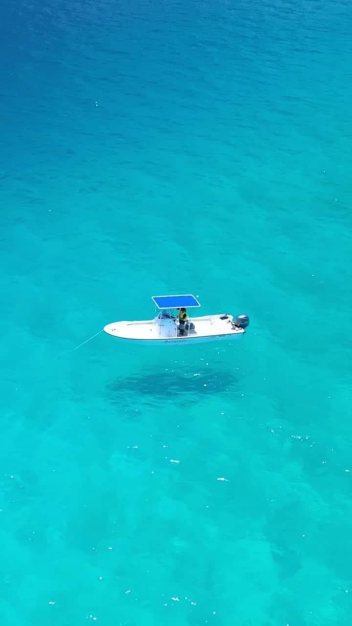 HAIMURUBUSHI はいむるぶしのインスタグラム：「小浜島・はいむるぶしから癒しの風景をお届けします。 夏空の下、ティダ(太陽)に照らされ、青く煌めくサンゴ礁の海… 青く澄んだ海ではレジャーボートが宙に浮いたよう日程見えます。 ここにしかない、沖縄の海に逢いにお越しください。 #沖縄 #八重山諸島 #離島 #夏 #サンゴ #海 #ボート #鳩間島 #小浜島 #リゾート #ホテル #はいむるぶし  #japan #okinawa #island #summer #vacation #travel #blue #coral #lagoon #sea #boat #resort #hotel #haimurubushi」