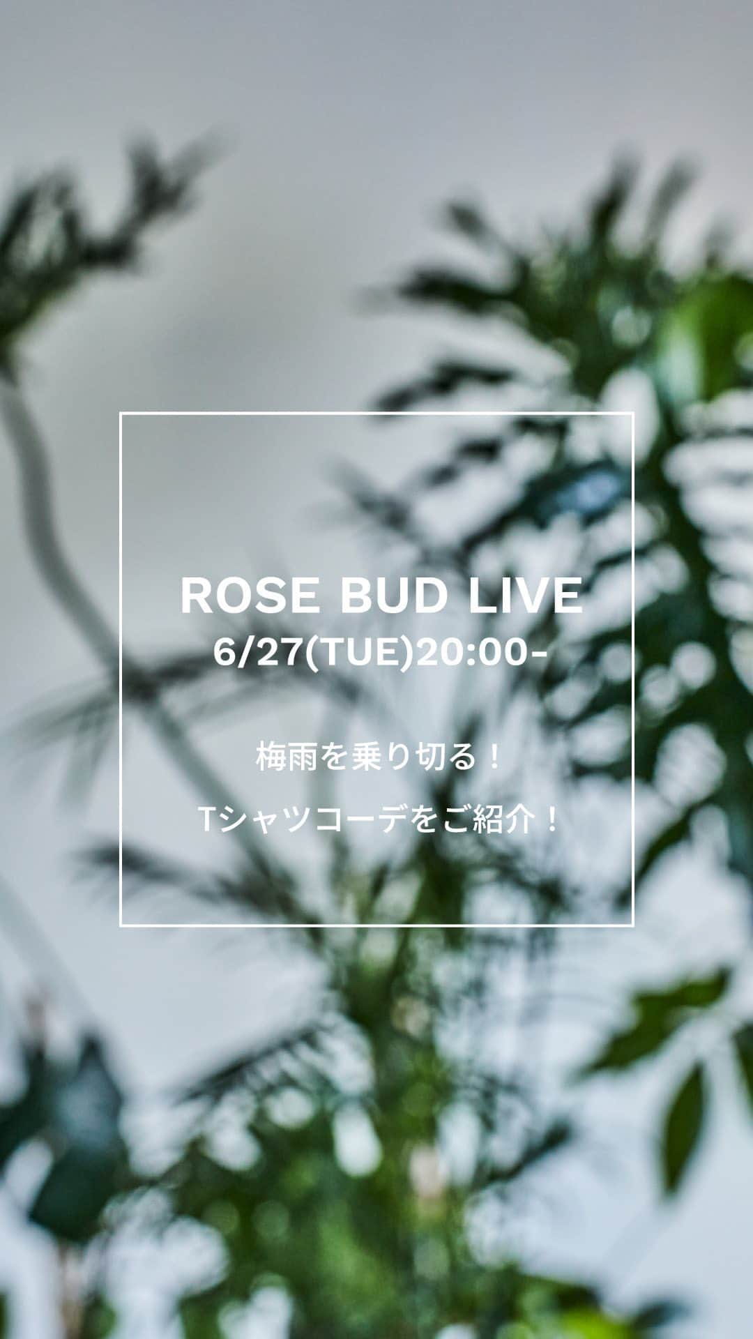 のインスタグラム：「INSTA LIVE」