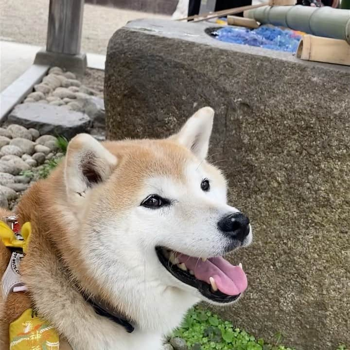 てんパパのインスタグラム