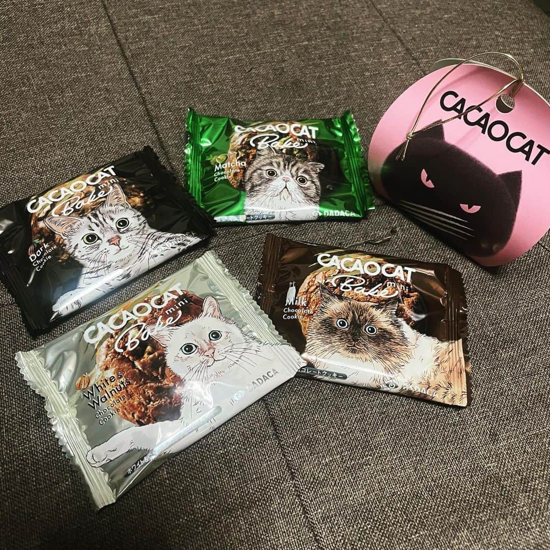 小俣里奈のインスタグラム：「オマティさんに🤲 って、猫好きな私のために ねこねこファイヤーな差し入れくれた🐈♡  可愛くて10分くらい並べて眺めてた😌笑  #CACAOCAT #CACAO #chocolate #bake #cookie #sweets #cat #cats #ねこ #にゃんこ #来世はねこになります」