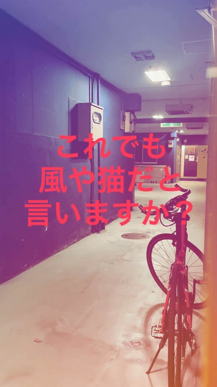 ZIN（神優作）のインスタグラム：「ドアノブに手を近づけた時、、、  たぶんバレました。  神様仏様閻魔様。お許し下さい。  #風？ #猫？ #お願いです #ただの発声練習であってください」