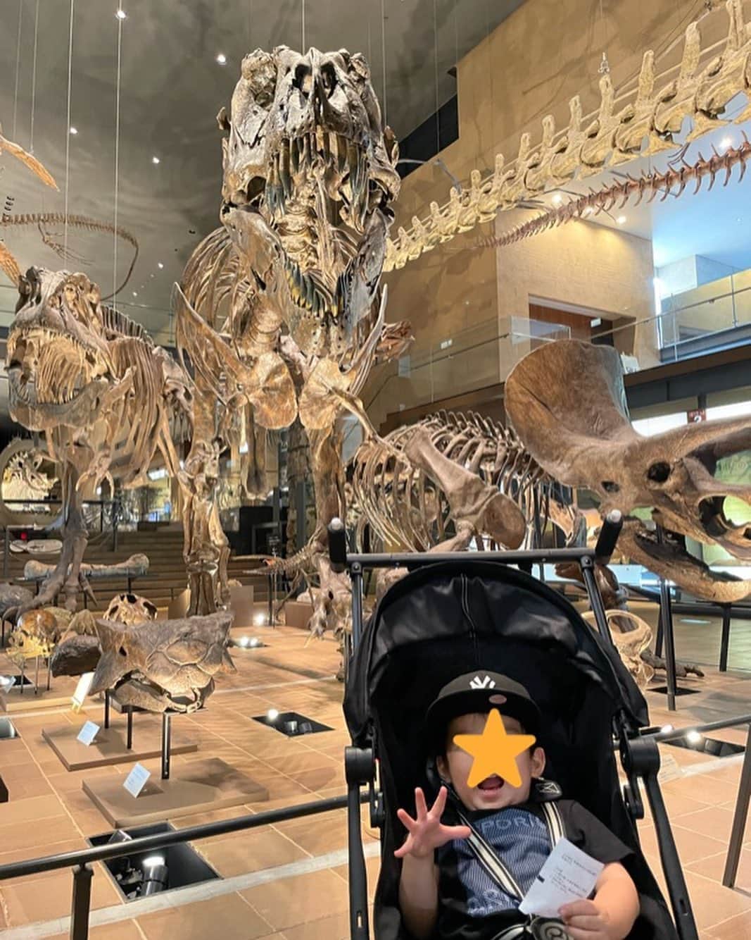 丹羽真由実さんのインスタグラム写真 - (丹羽真由実Instagram)「. 息子2歳、現在ハマっているのが恐竜🦖🦕  とゆーことで 恐竜の骨格標本が沢山あるという 『北九州市立いのちのたび博物館』に行ってきました❗️  西日本最大級の自然史・歴史博物館で 写真を見てもらうと分かると思うのですが、 今年3月に常設展が大幅にリニューアルされ、 見応え抜群！迫力ある展示の連続でした👀  中でも、「エンバイラマ館」は凄かった‼️ 中生代・白亜紀の北九州の湖畔を再現したジオラマの中で 沢山の恐竜ロボットたちがリアルに動いて鳴くんです🦕 (動画撮影🈲でした) それに解説する方のナレーションがとても上手で 聞き入ってしまいました‼️ 上映中、暗くなるのでカンペなどはなく 全て覚えていて、まさにプロの仕事でした‼️ (そういうところが気になるのは職業病かな😝)  市がこれほどの規模の博物館を持っているとは驚きです‼️ さすが北九州市‼️  北九州に嫁いだお友達とも久しぶりに会えて 楽しい北九州の旅でした🚄  小倉駅といえば… JR九州硬式野球部の特集取材で 通っていた頃を思い出します⚾️ 最後の一枚は、 当時のJR九州硬式野球部監督・野中さんとパチリ✌️ 明治大学の大先輩です⚾️  #いのちのたび博物館 #北九州 #小倉 #恐竜 #恐竜好きと繋がりたい #男の子ママ #2歳6ヶ月 #福岡旅行 #フリーアナウンサー #丹羽真由実 #やっぱり明治がナンバーワン」6月27日 22時13分 - mayumi_niwa