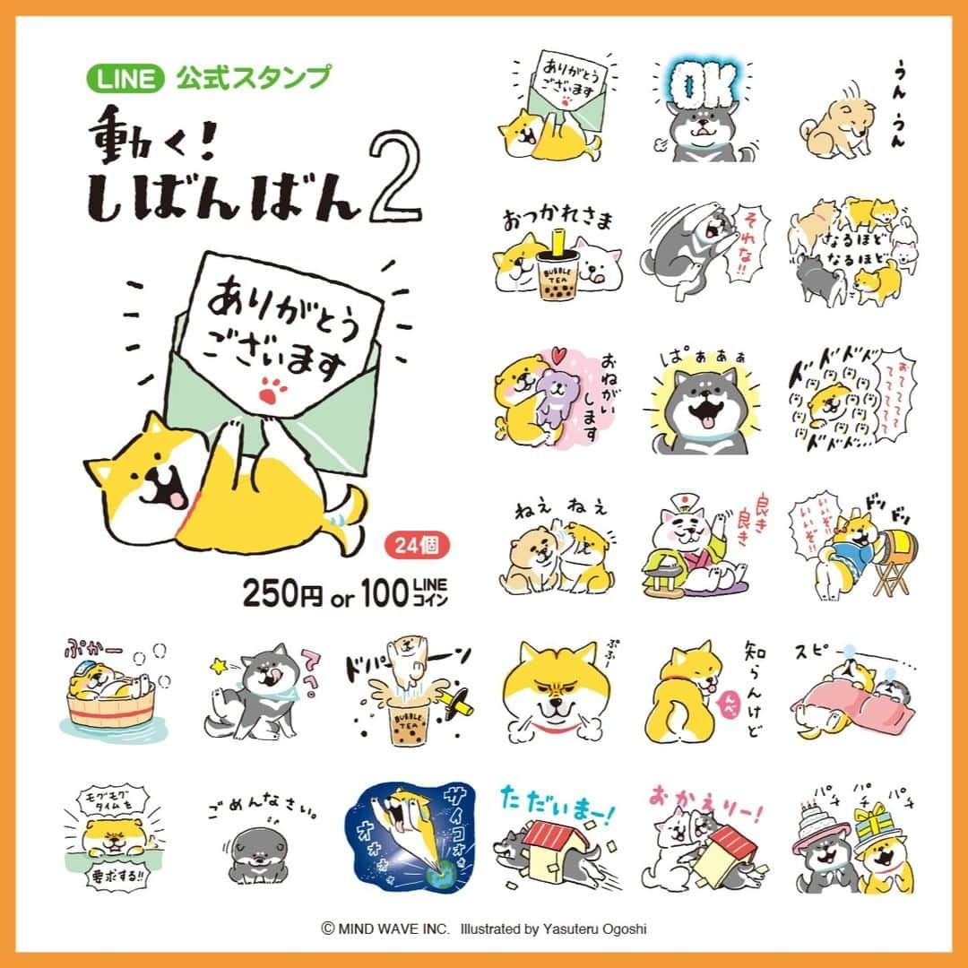 オオゴシヤステルさんのインスタグラム写真 - (オオゴシヤステルInstagram)「⭐️LINEスタンプ情報⭐️  LINE公式スタンプからリメイクしたアニメーションスタンプとして『動く！しばんばん 2』がリリース！  ということは…あの「百烈おてて」も！ 動くってステキー💕  おててててててててて！ 〈ฅ `ᴥ´ ฅ〉(ᐡ・ᴥ・ฅ)🐾🐾🐾🐾🐾🐾  ▶️https://line.me/S/sticker/28765  購入ページには ストーリーズ、ハイライト「LINE」から✈️✈️✈️  #LINE #LINE公式スタンプ #マインドウェイブ #mindwave #しばんばん #shibanban #むちころばんばん #muchicorobanban #オオゴシヤステル #柴犬 #しばいぬ #shibainu」6月13日 14時44分 - ogoshi_yasuteru