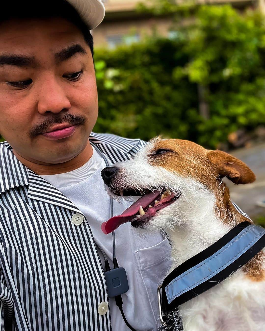 マントル一平さんのインスタグラム写真 - (マントル一平Instagram)「今からの時期にピッタリな最新ガジェットの紹介です！！ @doshisha_marche　さんのtempo Air  なんとこちら、後ろのプレートがイッキにつめーたくなって、カラダをクールダウン出来るというシロモノです！ さ、ら、に！！ ボタンで切り替えれば、暖かくなって寒い時期にも対応してるんですー  早速、お散歩のお供に使わせていただきましたー めっちゃ快適ですた(*´ω`*)  わたくし、キャンプにフェス、サイクリングとこれは重宝することまちがいないっす！  このデザインもスマートで街使用も出来ますね  気になった方！暑がりの方！寒がりの方！ 是非！是非！^ - ^  #Tempo #テンポ #ネッククーラー #ドウシシャ #doshisha」6月13日 14時48分 - mippei_