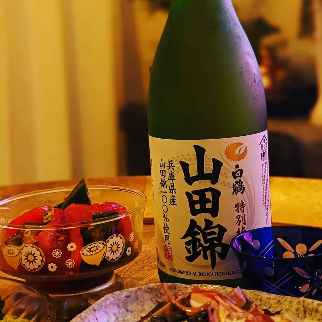 武田航平さんのインスタグラム写真 - (武田航平Instagram)「白鶴酒造 山田錦 〜特別純米〜 うまいです。 おてごろなのに上品。  #兵庫県産山田錦100パーセント #日本酒 #日本酒好き  #白鶴 #白鶴酒造 #灘五郷 ずっとやりたかったからこれやる。笑 めっちゃ撮りダメてるのでチョイチョイだしてきます。」6月13日 14時50分 - kouhei_takeda.official