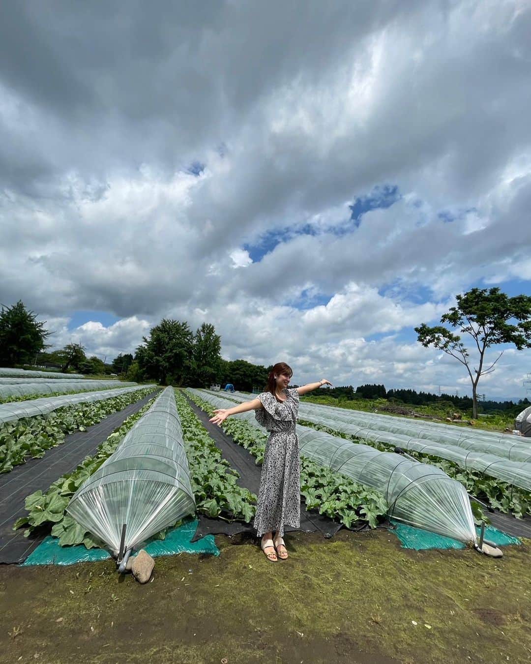 小林礼奈さんのインスタグラム写真 - (小林礼奈Instagram)「お仕事でメロン農家さんに来ました🍈🐝  #メロン農家  #メロンがおいしい季節  #小千谷市」6月13日 15時26分 - kobayashi_ayana0218