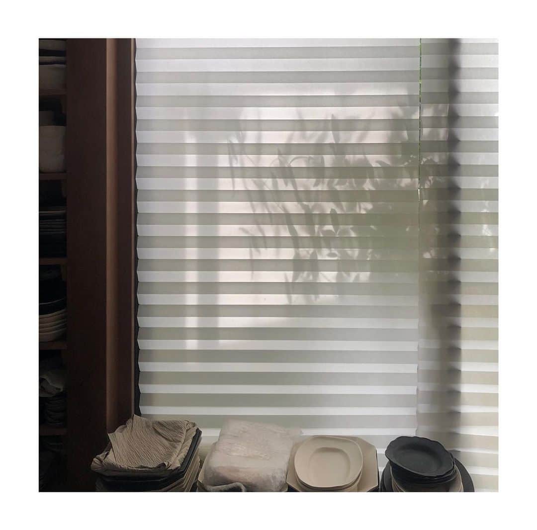 井山三希子さんのインスタグラム写真 - (井山三希子Instagram)「・ 薄暗い中での仕分け作業からリスト作り」6月13日 7時52分 - nikoyagi