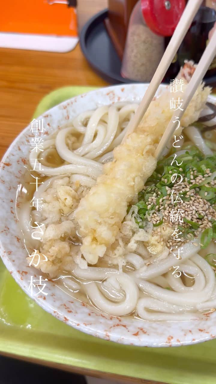 うどんが主食のインスタグラム：「まさにザ讃岐うどん。 麺も美しいし、汁も完璧。  うどんが主食のオフ会は、LINE公式アカウントに登録して下さい！ @alwaysudon  #うどんが主食 #うどんが主食の食べ歩き #食べ歩き #うどんが主食オススメうどん #本当は教えたくない美味しいお店 #食べログ #食べログ高評価 #香川グルメ #高松グルメ #香川 #高松 #さか枝 #讃岐うどん #讃岐 #宿院 #主食のオススメスうどん #和食 #いりこ #グルメ #美味い #japan #和食#japanesefood #tokyo #washoku #gourmet #apain #beef #japanesenoodle #wagyu」