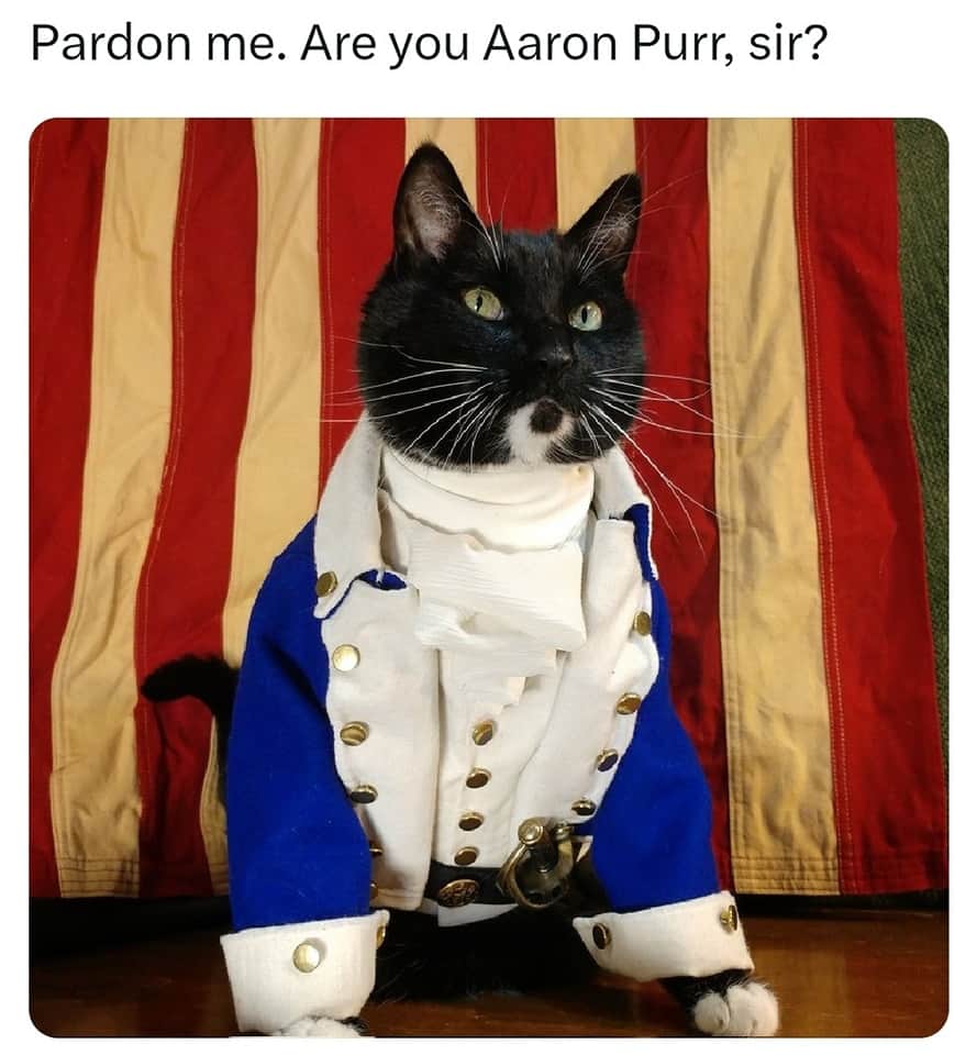 猫コスプレさんのインスタグラム写真 - (猫コスプレInstagram)「Hameowton  #Hamilton #hamiltonmusical  . . . . #AlexanderHamilton #hamiltonthemusical #catcosplay #cosplay #cosplayer #cat #catcostume #catsinclothes #petclothes #PetCostume #petarmor #catarmor #funnycats #humor #funny #tuxedocat #puns #dadjoke #hamiltoncosplay」6月13日 8時18分 - cat_cosplay