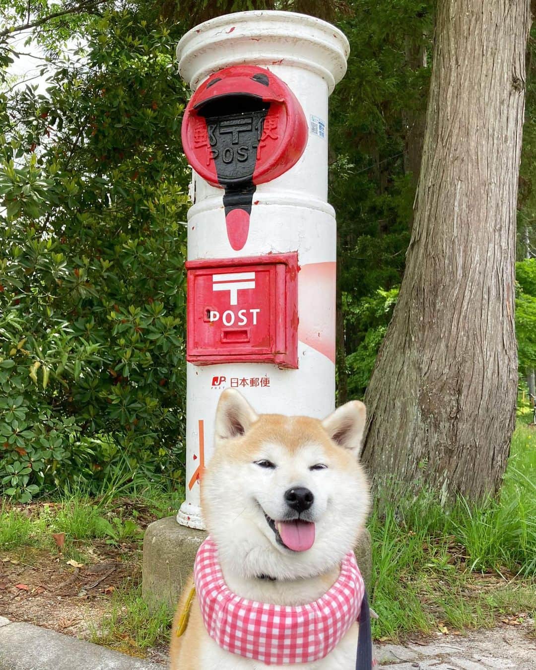 てんパパのグルメインスタ