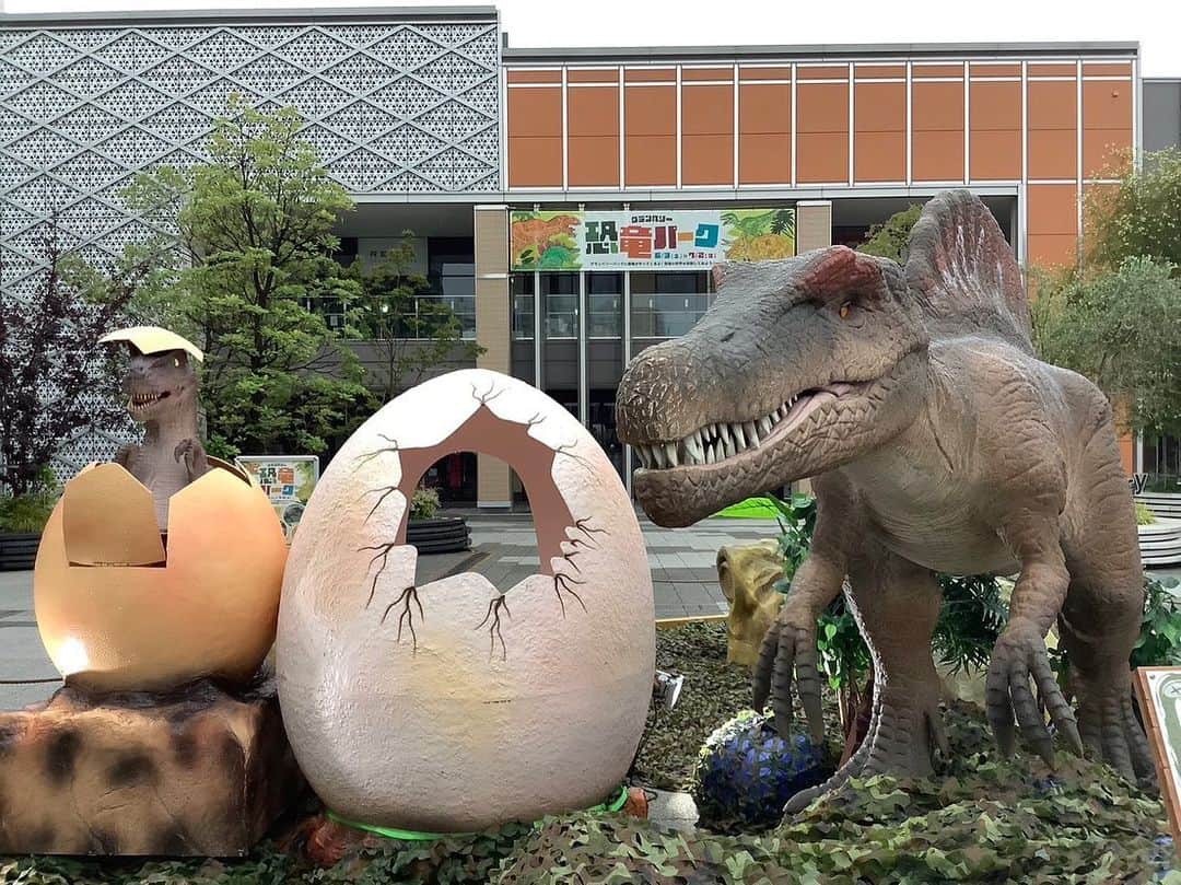 依田司さんのインスタグラム写真 - (依田司Instagram)「6月13日（火） 現在、東京都町田市にある東急田園都市線“駅直結”のオープンモール【グランベリーパーク】が、この時期限定で“グランベリー恐竜パーク”に大変身しています。 屋内外の数カ所に、超リアルな動く恐竜ロボットが出現。トリケラトプスやティラノサウルスなどが雄叫びを上げています。 屋内の施設をはじめ、全て無料で楽しめるので、ショッピング街で買い物や映画を楽しんだ後は、食べ歩きフードを頂きながら、恐竜を満喫するのも良いですね。  #グランベリーパーク  #依田さん #依田司 #お天気検定 #テレビ朝日 #グッドモーニング #気象予報士 #お天気キャスター #森林インストラクター #グリーンセイバーアドバンス #プロジェクトワイルド #IPCC伝導者 #japan #japantrip #japantravel #unknownjapan #japanAdventure #japanlife #lifeinjapan #instagramjapan #instajapan #療癒 #ilovejapan #weather #weathercaster #weatherforecast」6月13日 9時07分 - tsukasa_yoda