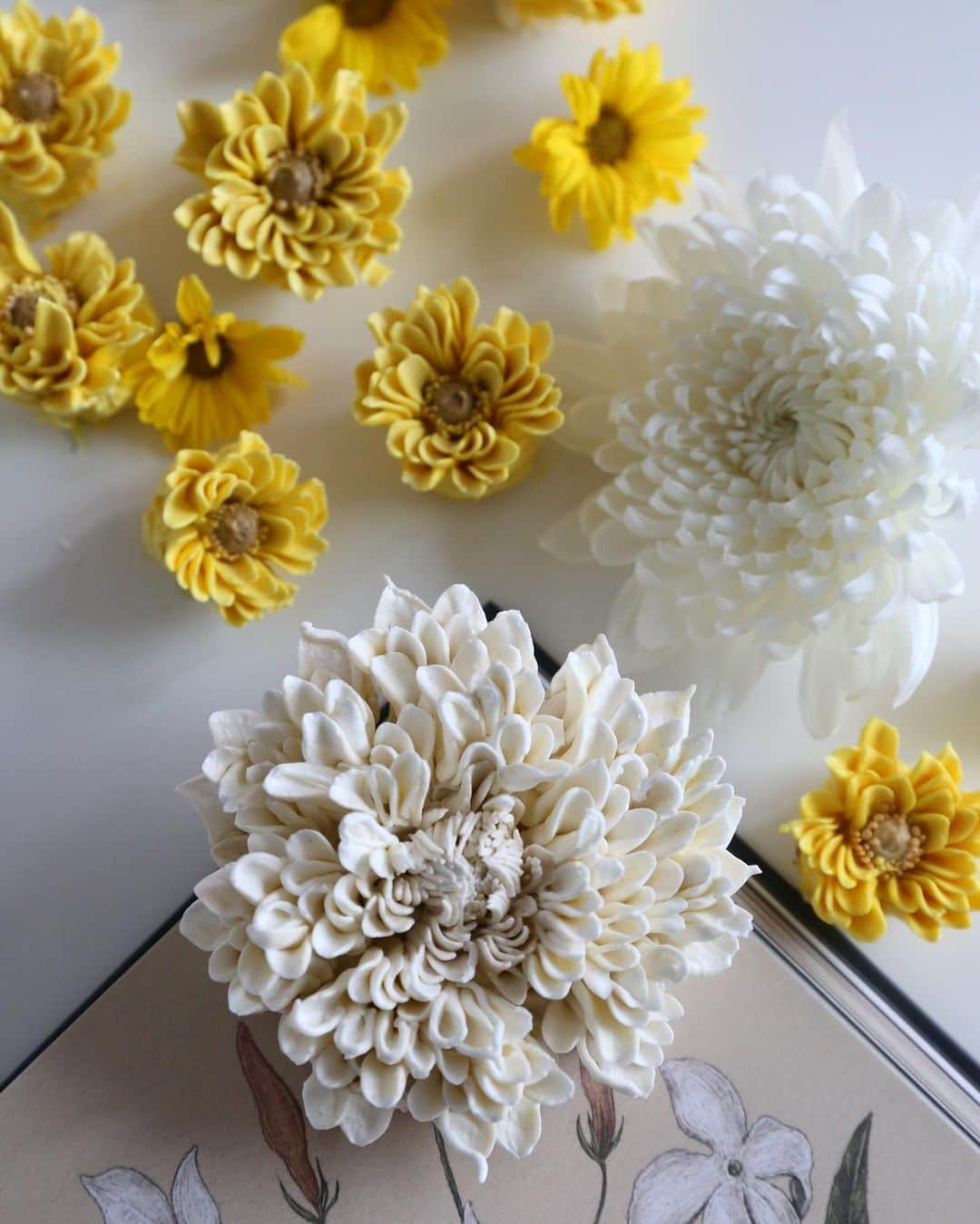 청담 수케이크 (atelier soo)さんのインスタグラム写真 - (청담 수케이크 (atelier soo)Instagram)「ㅡ chrysanthemum 🤍 81w. Italian meringue buttercream  #flowercake #cake #chrysanthemum」6月13日 9時13分 - soocake_ully