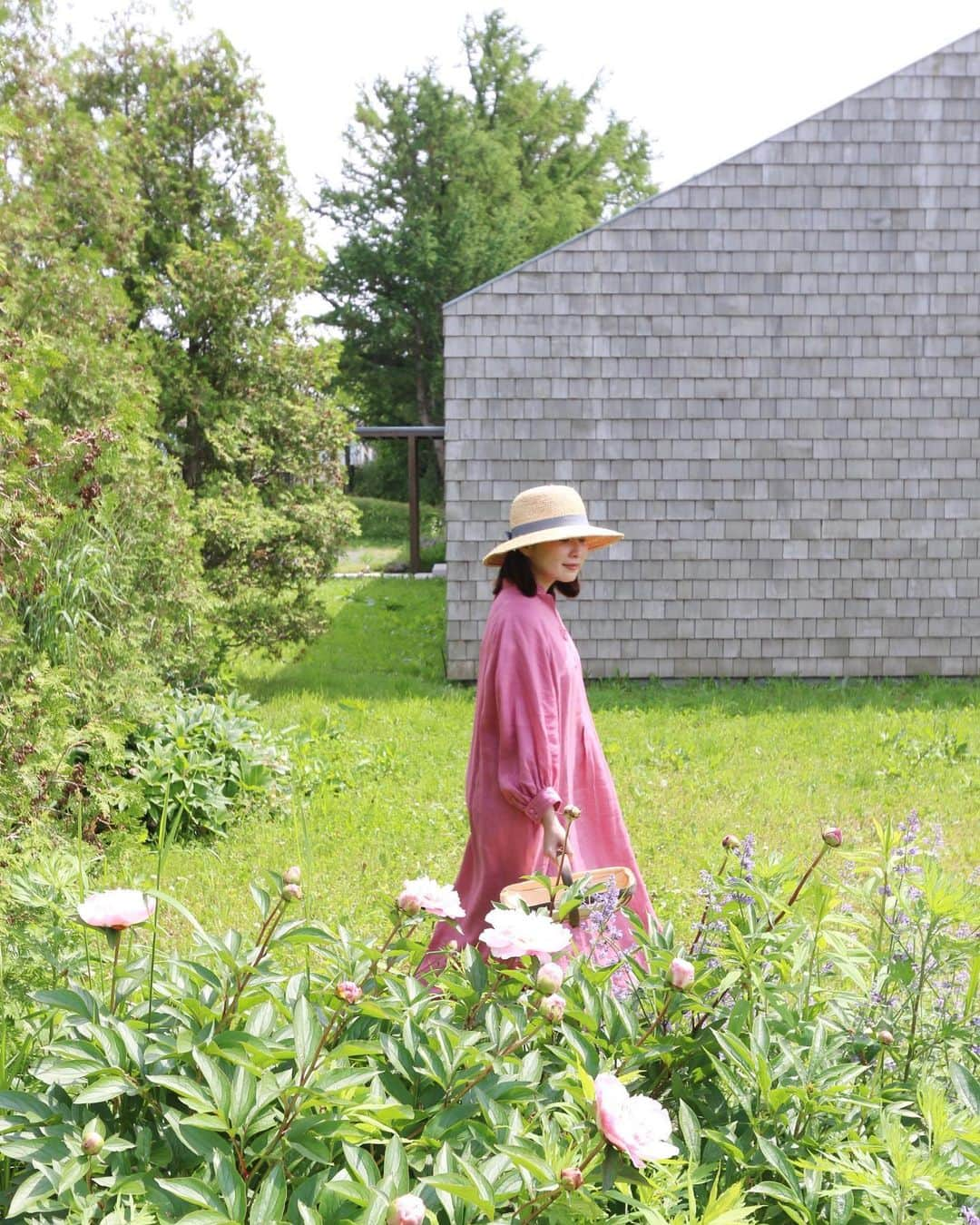 樋口智恵子さんのインスタグラム写真 - (樋口智恵子Instagram)「Love this season🩷🩷🩷Ready to the middle of summer🌿 . . . . ファームハウスの芍薬。今年もたくさんの蕾たちが夏至に向け満開になる準備万端🩷🌿この芍薬の色がとても好きで、同じような色の物を見つけると嬉しくなります💕 . . . . #hokkaido #peonies #farmhouse #芍薬 #北海道の風景 #夏至」6月13日 9時22分 - chieko_higuchi