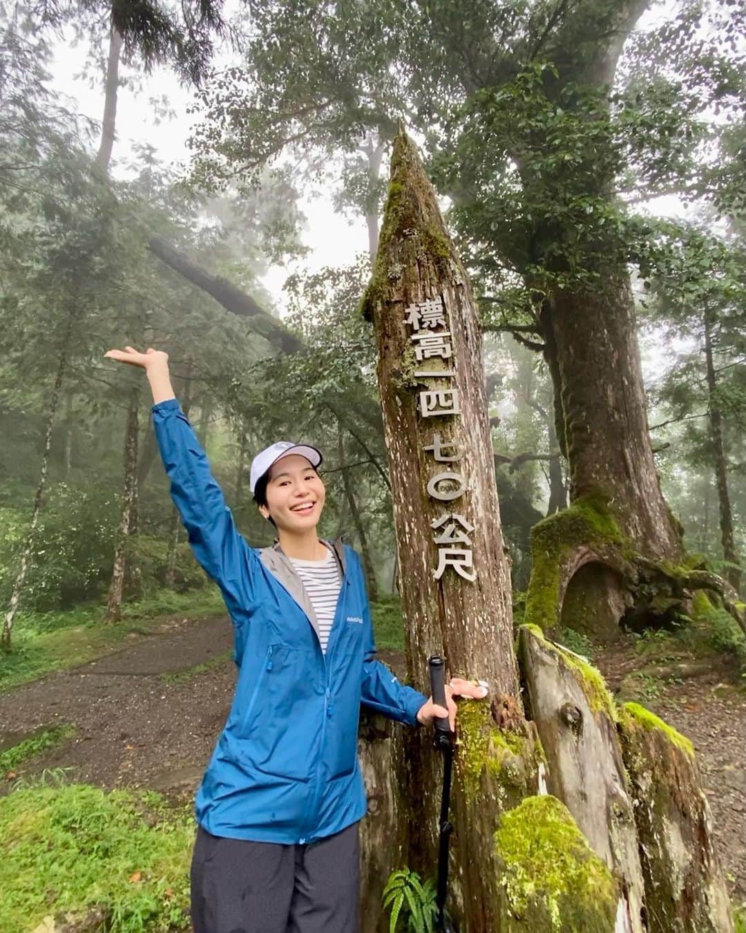 菖蒲理乃のインスタグラム：「台湾に来ています。  9/16(土)に台湾の棲蘭で行われる ウルトラマラソンのPRのため🏃‍♀️  昨日は、実際に走るコースを散策しながら撮影しました。  台湾の山、最高…！ 屋久島を彷彿とさせる神々しさでした。 しっかりと根を張りダイナミックに枝を広げる神木たち。 こんな場所で走るの気持ち良いだろうな…。  #棲蘭 #棲蘭神木園區 #台湾観光 #台湾女子旅 #台湾登山 #ハイキング #トレッキング #棲蘭國家森林遊樂區 #ウルトラトレイル #棲蘭ウルトラトレイル100」