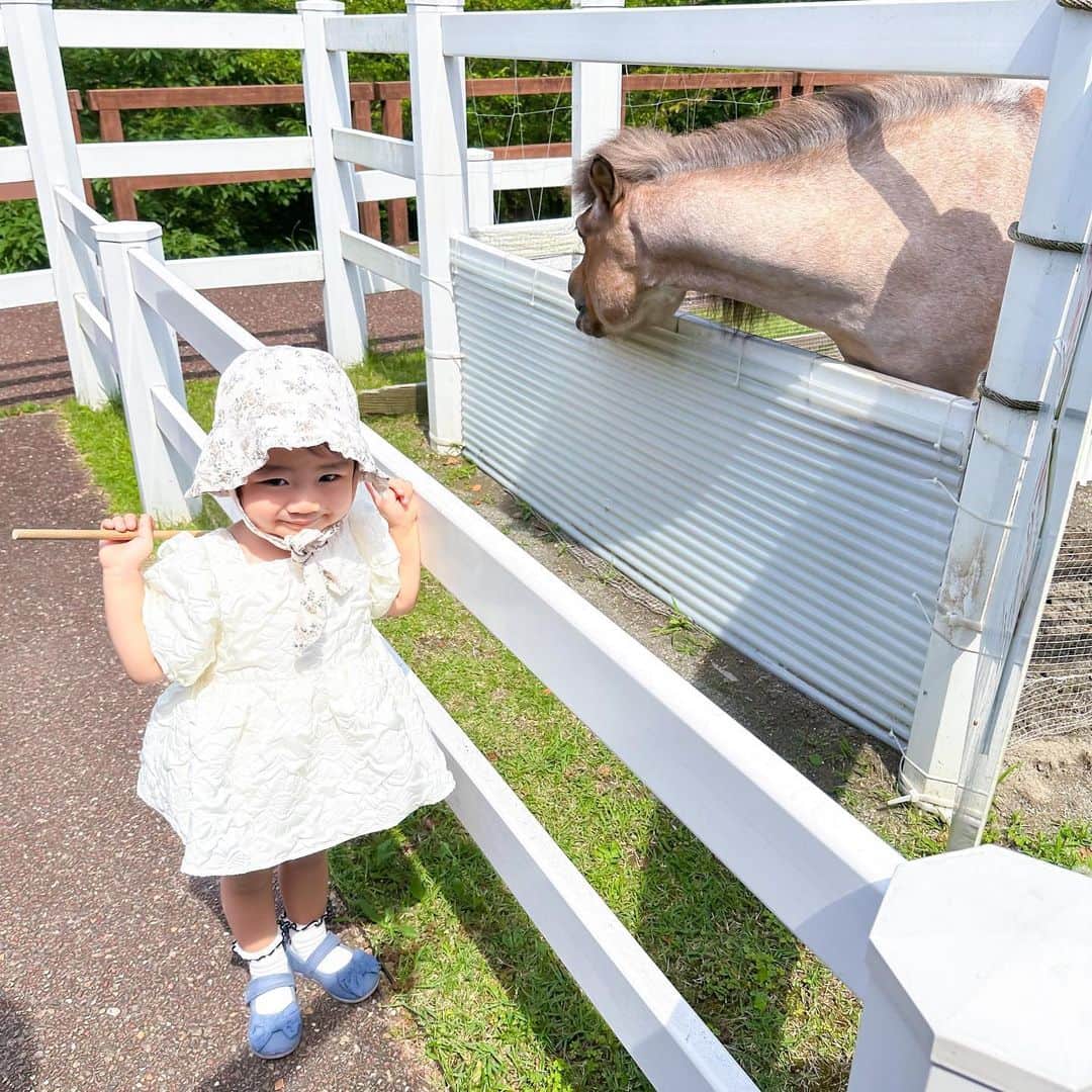 渡辺亜紗美さんのインスタグラム写真 - (渡辺亜紗美Instagram)「⁡ ⁡ 🐘🤍꙳⋆𓄅 ⁡ ⁡ 動物園での夏ガール。 2.3枚目はかき氷食べ食べガール。 美味しいの顔らしい。🍧 4枚目は、お馬さんに餌やりしすぎガール。 ずっとあげてた🐴プロ。笑 ⁡ ⁡ ⁡ ⁡ #こどものいる生活　#𝟤歳7ヶ月　#𝟤歳　#成長記録　#育児日記　#令和𝟤年ベビー #𝟣𝟣月生まれ　#𝟤𝟢𝟤𝟢_𝖺𝗎𝗍𝗎𝗆𝗆_𝖻𝖺𝖻𝗒部　#𝖻𝖺𝖻𝗒 #𝖻𝖺𝖻𝗒𝗀𝗂𝗋𝗅 #ベビスタグラム #コドモダカラ　#ママリ　#コドモノ　#女の子ママ」6月13日 10時55分 - asami_w_927
