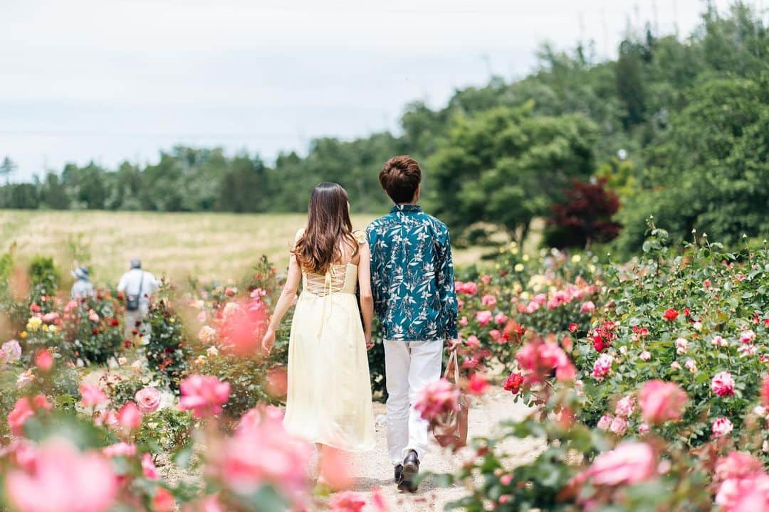 小林舞香さんのインスタグラム写真 - (小林舞香Instagram)「臨月をひかえた先週、夫婦で山形県村山市の東沢バラ公園に行ってきました👫日本有数のバラ園として知られていますが、案外まだ訪れたことのない県民も多い場所。  私は昨年初めて東沢バラ公園を訪れ、「こんな素晴らしい場所が近くにあるなんて…毎年訪れるべきだ…🥹」と心に深く刻まれたものです✨   ローズガーデンの本場、イギリスのキュー・ガーデンやクィーン・メアリーズ・ガーデンズなども訪れたことがありますが、東沢バラ公園も負けず劣らず美しいバラ園といえます。花は一つ一つ活き活きとしていて、特に薔薇好きでなくても目を惹く色とりどりの景色を楽しむことができます🌹  散歩は妊婦にとっては最小限の運動ですが、重要な活動❣️🫶🏻 今年も本当に素晴らしいバラ園でした。来れて良かった〜！  (この撮影をした6月6日時点では、ほとんどの薔薇が開花していました🌹)  photo by @hikaru.studio9   #私の東沢バラ公園 #RoseGardenPortrait #FlowerPower #BloomingBeauty #NaturePhotography #FloralInspiration #GardenVibes #NatureLovers #InstaFlowers #FlowerGram #FlowerPhotography #BloomAndGrow #InstaNature #バラ園ポートレート #花のある暮らし #東沢バラ公園 #山形 #Yamagata #MaternityPhoto #PregnancyShoot #BabyBumpLove #MaternityStyle #ExpectingMom  #MaternityFashion #BabyOnBoard #PregnancyJourney #MaternityPhotography #BellyBlessings #BabyBumpPhotography #MaternityInspiration」6月13日 11時30分 - maikyarian