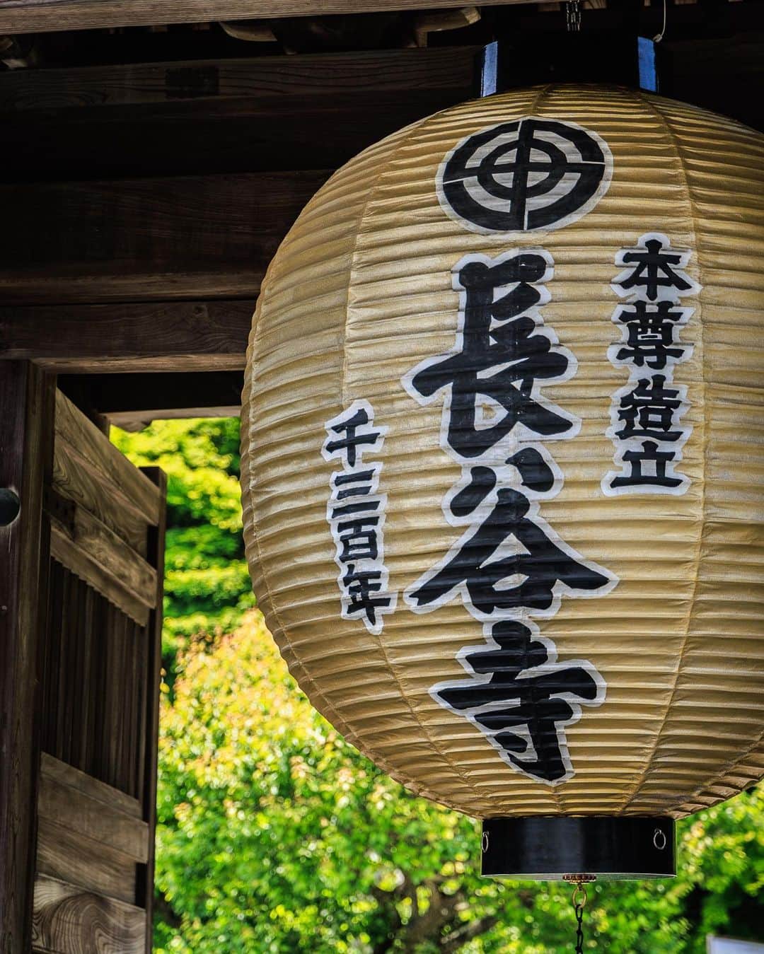 SHOCK EYEさんのインスタグラム写真 - (SHOCK EYEInstagram)「これからの季節、 僕の地元鎌倉で社寺巡りどうですか？  #鎌倉 #観光 #神社 #仏閣 #kamakura」6月13日 11時58分 - shockeye_official