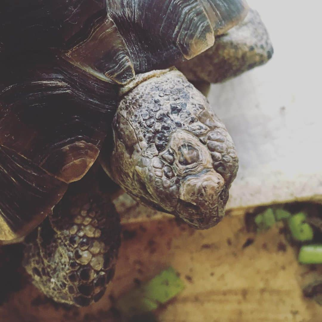 橋本大地のインスタグラム