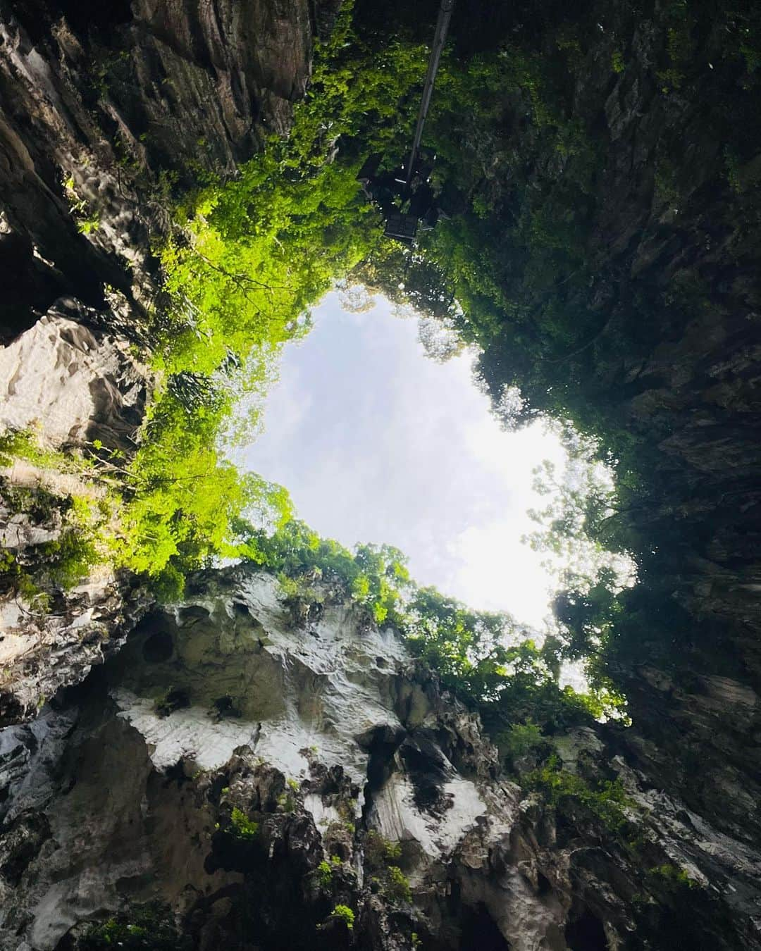 菊井彰子さんのインスタグラム写真 - (菊井彰子Instagram)「マレーシア旅行🇲🇾① -バトゥ洞窟🙏-  首都クアラルンプール近郊にあるヒンドゥー教にまつわる洞窟。  クアラルンプールから約30分🚗で行ける人気の観光スポット。  🇲🇾は基本的にイスラム教だけれど、信仰の自由が認められているらしい😋 バトゥ洞窟はヒンドゥー教の聖地なので女性が足をだすことがNG。なので母子ともにデニムで参戦しました🔥  洞窟に入るまで階段が272段‼️  行きはカラフルな階段にテンション上がって娘も頑張って登っていたよ👧（帰りは全部パパ抱っこw）  階段を登ると、白いお粉を額につけてお祈りする場所や洞窟の中に4億年前にできたと言われる鍾乳洞がありました。 差し込む光が綺麗だったー✨ （８枚目）  野生のお猿やニワトリもいて3歳9ヶ月の娘は全体的に楽しんでました🐓🐒💚  バトゥ洞窟（Batu Caves） 営業時間：8:00～19:00 入場料：無料 住所：Gombak, Selangor Darul Ehsan ・ ・ ・ ・ ・ ・ ・ ・ #子連れ海外  #子連れ海外旅行  #batucaves  #malaysia  #kualalumpur  #バツー洞窟  #バトゥー洞窟　 #マレーシア観光  #マレーシア旅行  #マレーシアグルメ  #マレーシアごはん #3歳9ヶ月女の子 #クアラルンプール旅行  #3yearsold  #3y9m  #3歳9ヶ月」6月13日 12時17分 - yanakiku_kiku