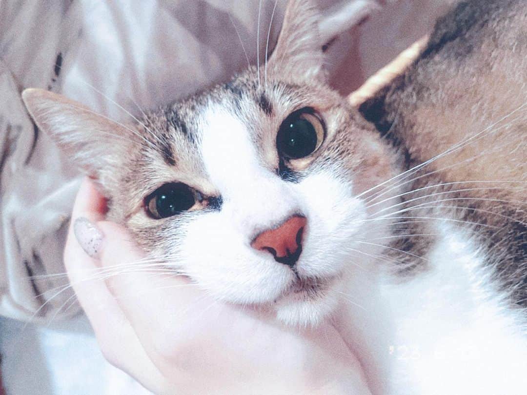 ReoNaのインスタグラム