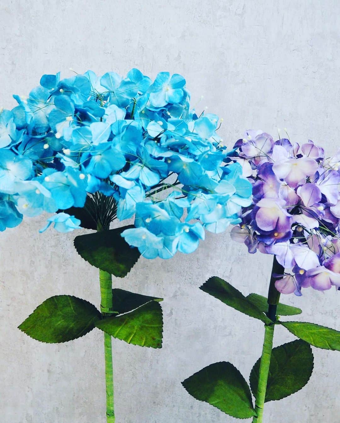 Gフラワー ジャイアントフラワー専門店さんのインスタグラム写真 - (Gフラワー ジャイアントフラワー専門店Instagram)「紫陽花  6月の花と言えば…  “紫陽花”をイメージされる方も多いのではないでしょうか。  G+flowerでは、直径40㎝の紫陽花をレンタル品としてご用意しております。  リアルな色合いと質感。  大人が持っても写真映えする大きさで、季節感バッチリな写真が撮れます♪  この他にも季節に合わせたお花が制作可能です🙆‍♀️✨  色々なご相談お待ちしております🙇‍♀️  ※オリジナルフラワーの最短納期は1ヶ月です。  お気軽にお問合せ下さい🙇‍♀️  【G+flower】 HP  https://www.g-flower.club/ ブログ　https://ameblo.jp/giant-flower/ Tel: 03-6820-0738(平日9:00〜16:00) Mail: support@g-flower.club  #ジャイアントフラワー #イベント装飾　#ジャイアントフラワーレッスン　#ジャイアントフラワー教室　#会場装飾　#誕生日装飾　#七五三　#着物に合お花　#オリジナルフラワー　#紫陽花　#6月の花　#あじさい　#アジサイ」6月13日 13時46分 - giant.flower