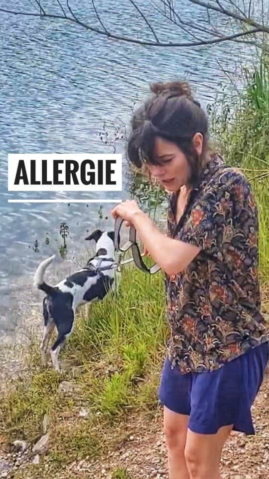 Joyce Ilgのインスタグラム：「Ich hab momentan so heftige Allergieprobleme! Hat jemand Tipps?   Mache in einer Woche endlich mal einen Allergietest, da ich gar nicht genau weiß, wogegen die Allergie ist. Ich hab das nämlich erst seit ein paar Jahren 🙄 vorher war nie irgendwas.  #hatschi #Allergie #Heuschnupfen」