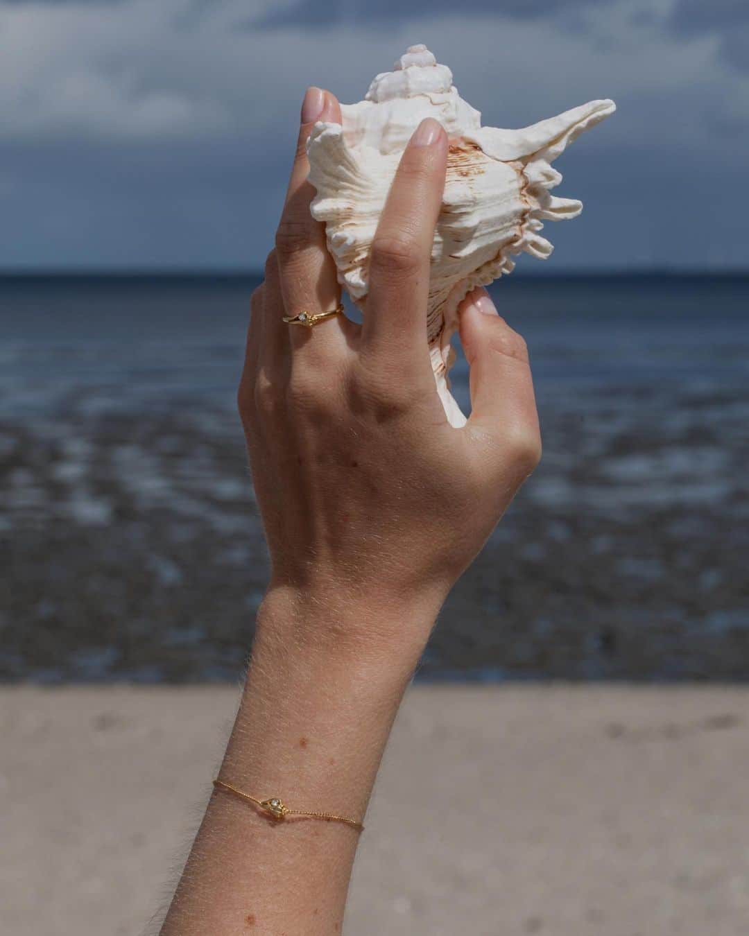 PAUL HEWITTさんのインスタグラム写真 - (PAUL HEWITTInstagram)「Sea Shell Collection 🐚 Make your most precious beach moments wearable ✨」6月13日 16時34分 - paul_hewitt
