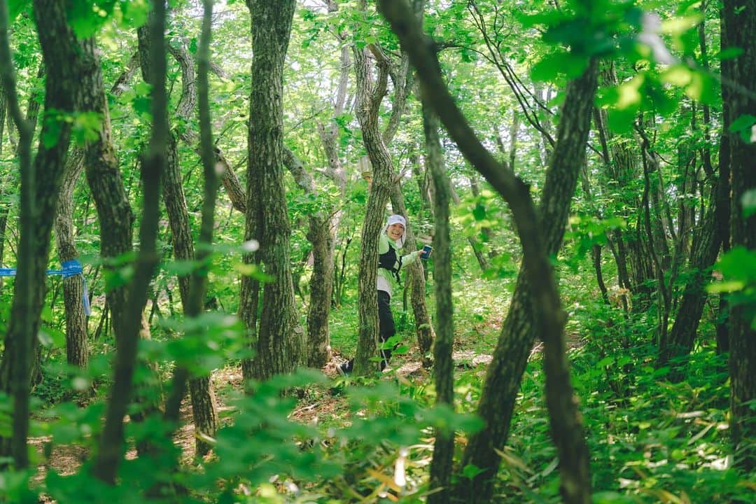 イム・セミさんのインスタグラム写真 - (イム・セミInstagram)「운탄고도 SKYRACE   지난 해 울릉도에서 함께 한 마라닉식구들과 쥬디런 은주감독님과 함께 다시 자연을 달렸습니다. 뜨거운 볕에서 함께 뛰고 응원해주신 분들 멋졌고 힘이 났습니다. 이렇게 달릴 수 있게 해주는 자연에게 무한한 감사를.   📷 명희언니 @bobae.jpg   #UTGD #SKYRACE #트레일러닝 #TrailRunning #마라닉 #쥬디런 #마라닉액터스 #굿러너컴퍼니 #운탄고도」6月13日 16時39分 - susemee