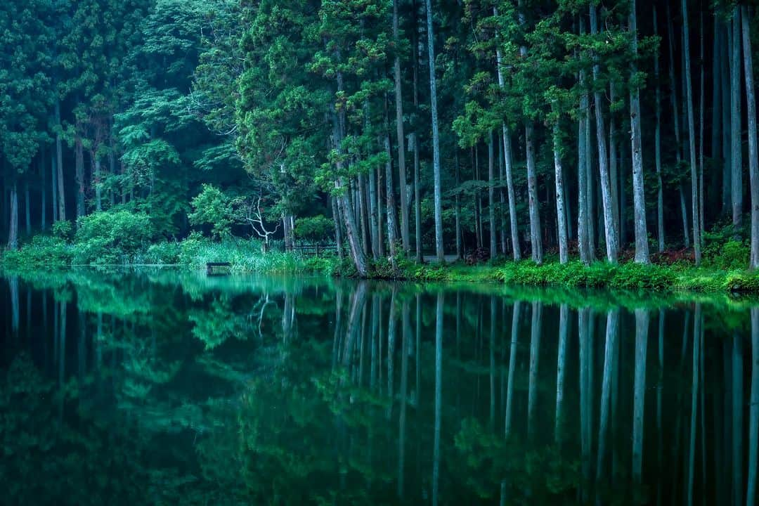 関西電力株式会社のインスタグラム：「＼緑の世界を映し出す🪞神秘の鏡池「龍王ヶ淵」／ 本日は、奈良・龍王ヶ淵からパシャリ📸  龍王ヶ淵は、奈良県宇陀市・額井岳近くにある、湧水が満ちた自然池です。  風がない晴れた日には、鏡のようになった水面に周囲の木々が映りこみ、神秘的な景色を見られることができます！ 夏から秋にかけては、水草が多くなり水鏡が見えにくくなるようですので、ぜひ今の時期に訪れてみてください✨  みなさんオススメの関西のスポットがあれば、コメントで教えてください！  ※写真は過去に撮影したものです。  #関西電力 #灯りフォト部 #奈良 #宇陀市 #龍王ヶ淵 #堀越神社 #リフレクション #リフレクションのある景色 #日本の絶景 #日本の景色  #関西旅行 #関西観光 #奈良旅行 #奈良観光 #nara #bestphoto_japan #visitjapanjp」