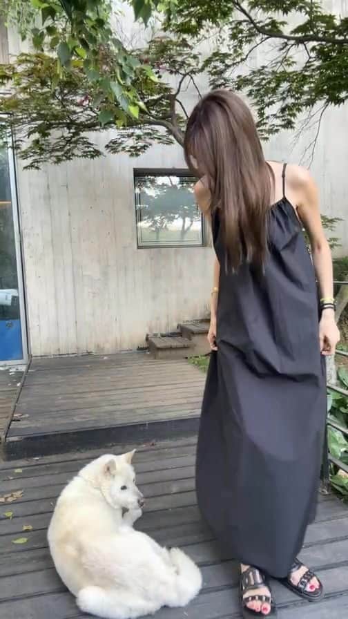 のインスタグラム：「오늘 자정마감하는 원피스 라이브!」