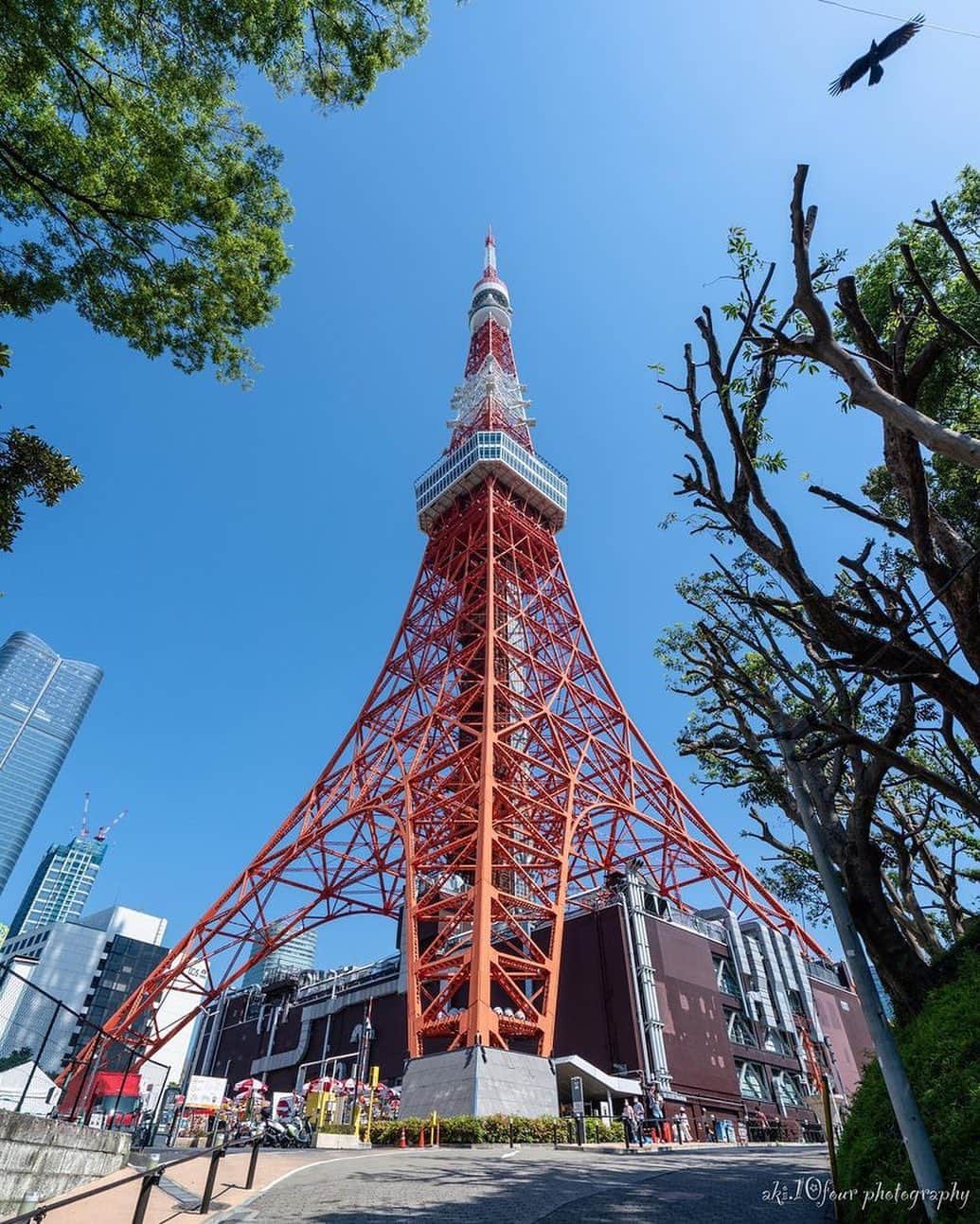 東京タワーさんのインスタグラム写真 - (東京タワーInstagram)「. 一点の曇りもない快晴の青空！！   快晴の青空には インターナショナルオレンジの 東京タワーが映えますね〜✨   本日は、Your Tokyo Tower🗼から @aki.10four さんのお写真をご紹介！   素敵なお写真をありがとうございました😊  --------------------------------  【 お知らせ 】  # your_tokyotowerで あなたの東京タワー🗼をリポスト！  皆様からの投稿どしどしお待ちしております！ （@tokyotower_official のタグ付けもよろしくね🖐）  詳細はプロフィールにある 固定されたフィード投稿から↓ @tokyotower_official  --------------------------------  #東京タワー #東京タワー🗼  #tokyotower #tokyotower🗼  #青空」6月13日 18時16分 - tokyotower_official