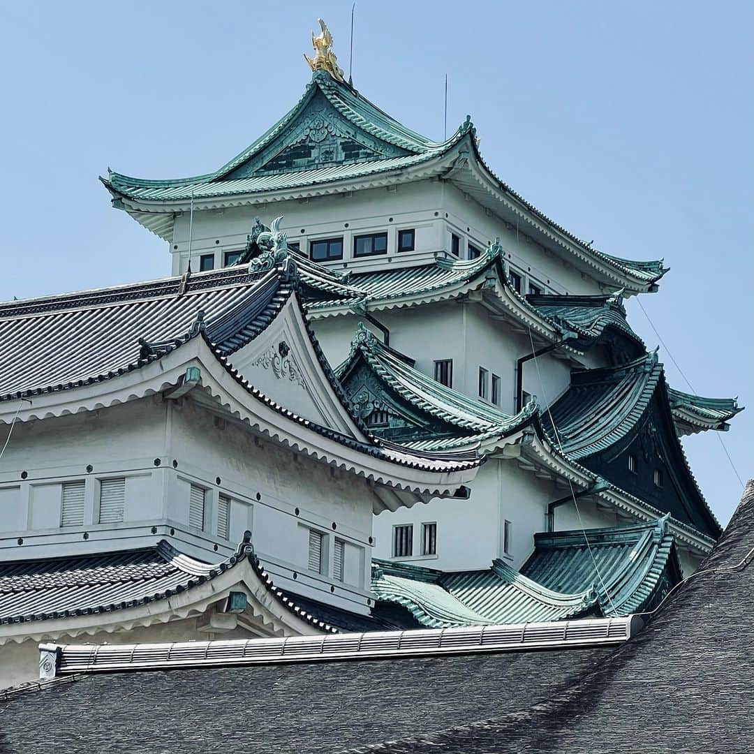 柳家三之助さんのインスタグラム写真 (柳家三之助Instagram)「【速報】三之助をみたかい？in 名古屋 Vol.11 は2023年8