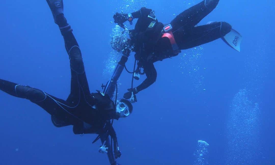 柊みずほのインスタグラム：「最近ダイビング投稿してなかった気がする🦈 泡でナチュラルモザイクかけてしまってる、、、 申し訳ない、、、 やっぱり陸上より海の中の方がテンション高そう🤔？？ 早く潜りに行きたいな！🤿」