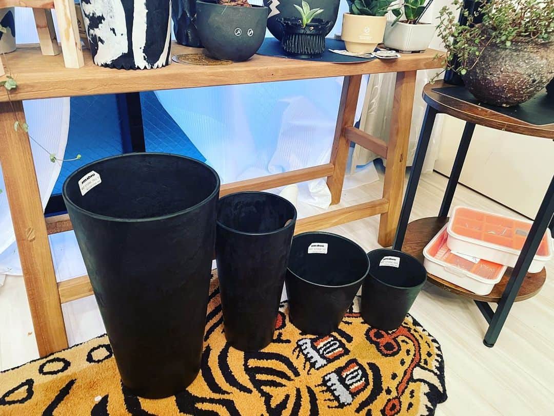 宮田麺児のインスタグラム：「この　鉢　が　最強だと 確信してます。 #植物 #塊根植物  #アガベ #植物鉢 #おしゃれ」