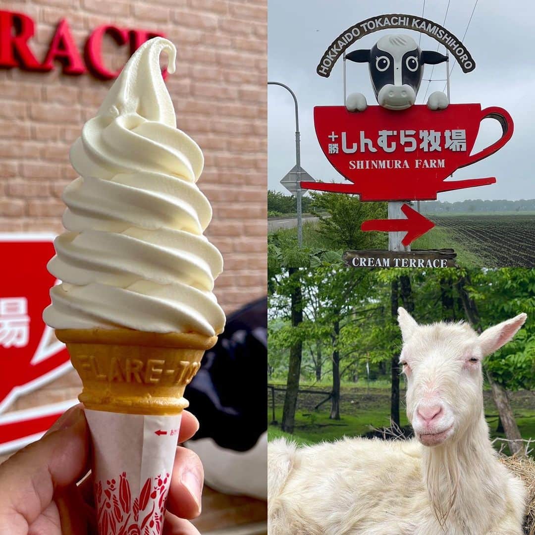 アイスマン福留のインスタグラム：「十勝しんむら牧場のソフトクリーム🍦めちゃうま。濃厚なミルクのコク、甘めで好き‼︎ 幸せカタラーナの原料に十勝しんむら牧場の牛乳が使われてます😆  #ソフトクリーム #十勝 #帯広 #北海道 #十勝しんむら牧場 #おいしい #おすすめ #北海道グルメ」