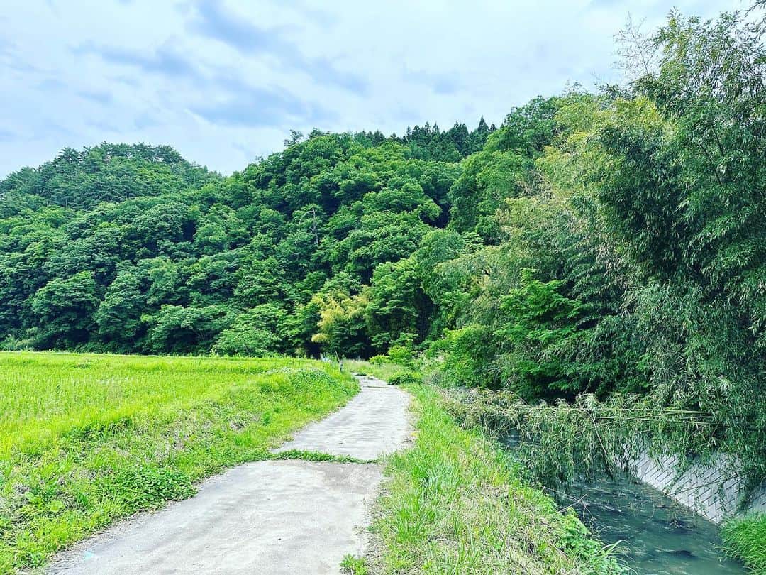 藤田貴大さんのインスタグラム写真 - (藤田貴大Instagram)「. . 足もとばかりを見つめて、田園を行く。鏡面になっていることに気がついて覗きこむと、おびただしいオタマジャクシ。じぶんの記憶ではない記憶を、追いながら。 . . . .」6月13日 19時53分 - fujita_takahiro